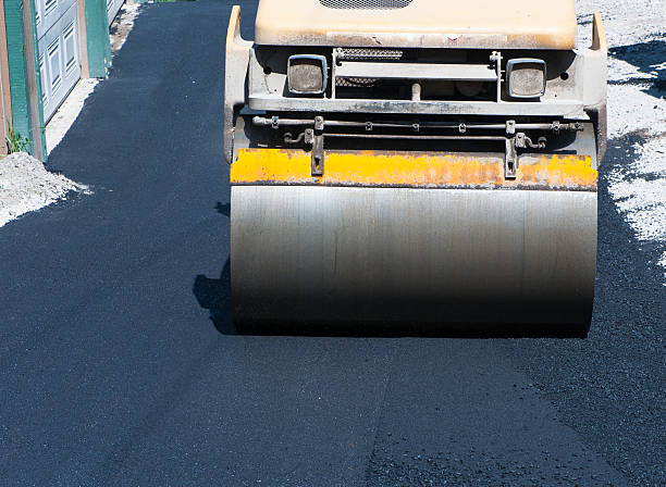 Why Choose Us For All Your Driveway Paving Needs in Cedar Springs, MI?